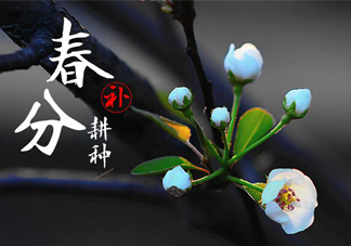 春分吃春菜有什么好處？春菜有什么營(yíng)養(yǎng)價(jià)值？