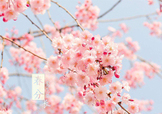春分吃什么？春分吃什么會更加健康？