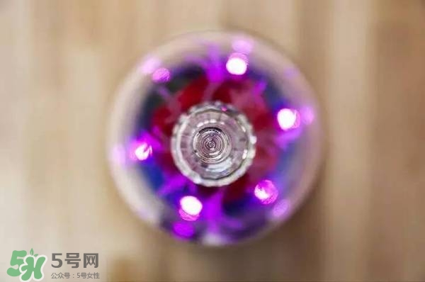 camino美女與野獸音響多少錢？camino玫瑰藍牙音箱價格