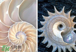 珍珠貝母表盤好嗎？珍珠貝母表盤耐用嗎？