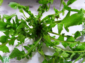 春天吃薺菜好嗎？春天吃薺菜有什么好處？