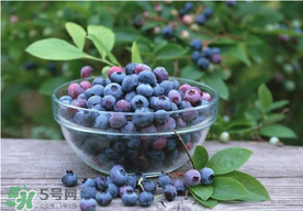 藍(lán)莓一天吃多少為宜？藍(lán)莓每天吃多少合適？