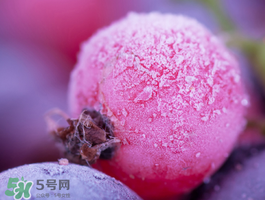 藍莓變紅可以吃嗎？藍莓發(fā)紅是壞掉了嘛？