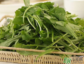 薺菜有毒嗎？吃薺菜會中毒嗎？