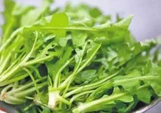 便秘能吃薺菜嗎？便秘可以吃薺菜嗎？