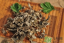 艾草是寒性的嗎？艾草是涼性的嗎？