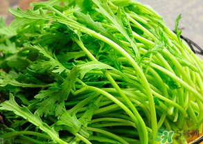 皇帝菜是茼蒿嗎？皇帝菜和茼蒿的區(qū)別