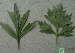 ?蒿子怎么去除苦味？?蒿子粑粑苦是什么原因？