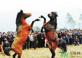 三月三有什么禁忌？三月三有什么講究？