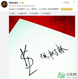 楊樹林口紅是什么牌子？楊樹林口紅是哪個國家的？