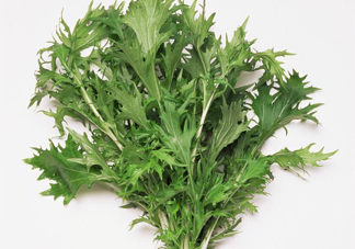 艾草是寒性的嗎？艾草是涼性的嗎？