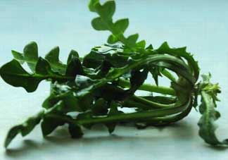 乙肝能吃薺菜嗎？乙肝病人可以吃薺菜嗎？