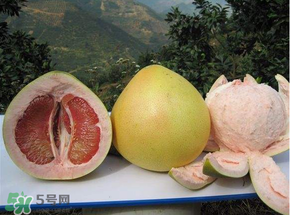清明節(jié)掃墓帶什么水果？清明節(jié)上墳的水果能吃嗎？