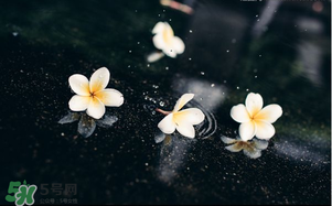 三月份為什么一直下雨？2017年三月份為什么雨多？