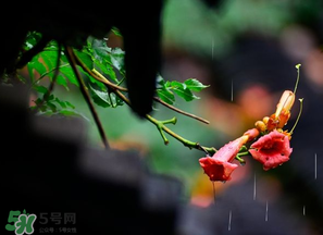 2017年梅雨季節(jié)是幾月？2017年梅雨季節(jié)是什么時候？