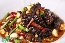 黃鱔和泥鰍能一起養(yǎng)嗎？黃鱔和泥鰍可以混養(yǎng)不？