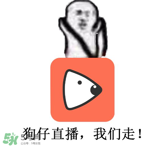 黃鱔為什么火了？黃鱔我們走為什么火了？