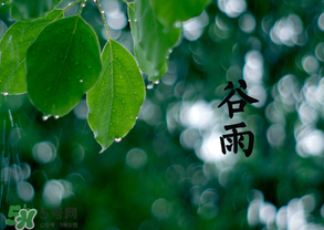 2017年谷雨是幾月幾號？2017年谷雨是哪一天？