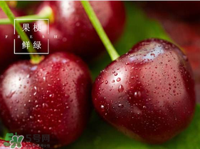 美早櫻桃多少錢一斤？美早櫻桃多少錢一斤2017？