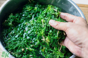 薺菜怎么腌制？薺菜的腌制方法