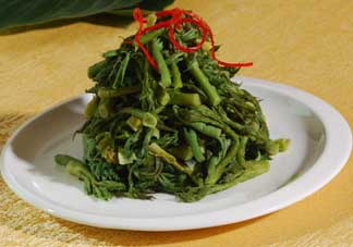 蕨菜什么人不能吃？哪些人不能吃蕨菜？
