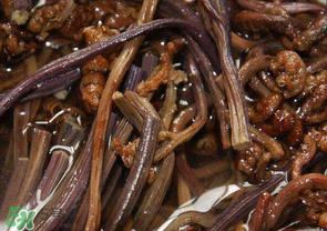 蕨菜能吃嗎？蕨菜可以吃嗎？