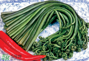 蕨菜有毒嗎？吃蕨菜會中毒嗎？