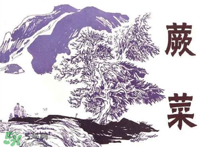 吃蕨菜會(huì)過敏嗎？皮膚過敏能吃蕨菜嗎？