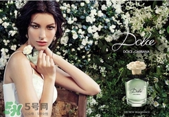 dolce gabanna香水哪款好聞？DG杜嘉班納香水推薦