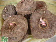 魔芋什么味道？怎么去除魔芋味道？
