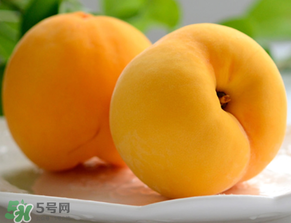 黃桃為什么那么貴？黃桃為什么這么貴？
