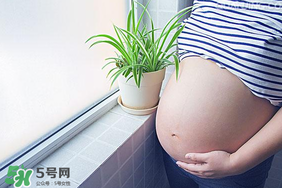 孕婦可以做美甲嗎？美甲對(duì)孕婦有什么影響？