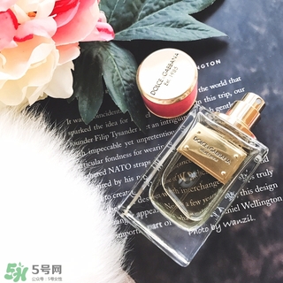 dolce gabanna香水哪款好聞？DG杜嘉班納香水推薦