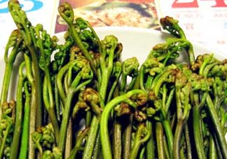 蕨菜有毒嗎？吃蕨菜會(huì)中毒嗎？