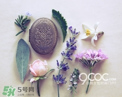 2017固體香膏哪個牌子好？2017固定香膏排行榜