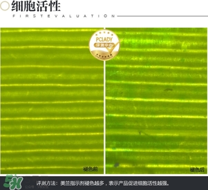 cpb保濕露多少錢？cpb保濕露專柜價格