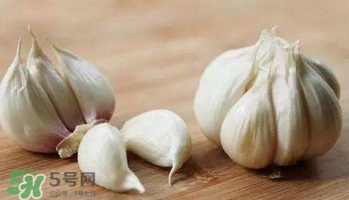 發(fā)芽的大蒜能吃嗎？發(fā)芽的大蒜能不能吃