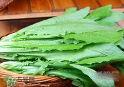 油麥菜糖尿病能吃嗎？糖尿病能吃油麥菜嗎？