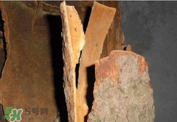 香樟樹(shù)的香味有害嗎？香樟樹(shù)的香味有沒(méi)有害