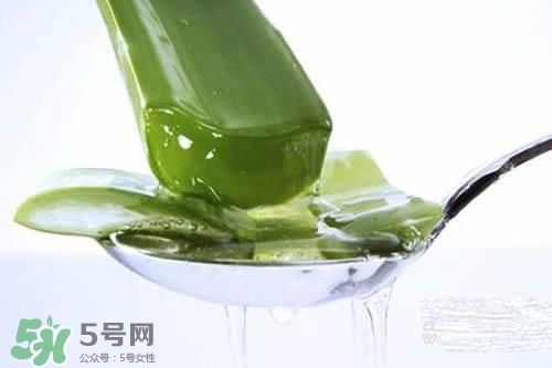 黃瓜水和蘆薈水哪個(gè)好？黃瓜水和蘆薈水功效區(qū)別