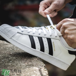 adidas貝殼頭正品多少錢？阿迪達斯貝殼頭鞋專柜價格