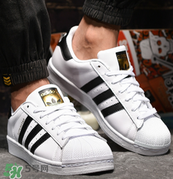 adidas貝殼頭正品多少錢？阿迪達斯貝殼頭鞋專柜價格