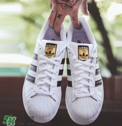 adidas貝殼頭正品多少錢？阿迪達斯貝殼頭鞋專柜價格