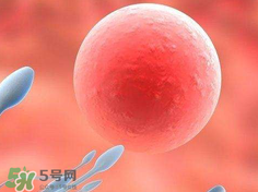 捐20顆卵子會怎么樣？捐20顆卵子有什么后果？