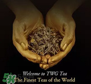twg茶哪個最經(jīng)典？twg茶葉哪個好喝？