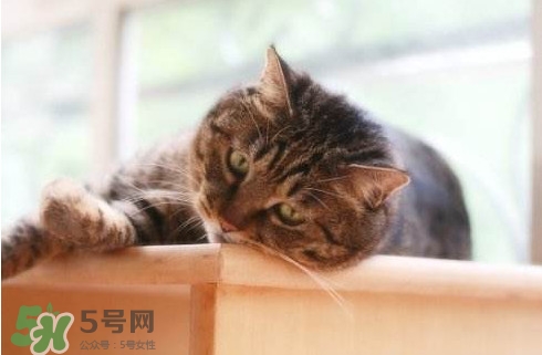 為什么身體總是覺得累？總是覺得累是怎么回事