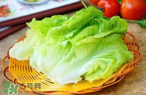 生菜可以放冰箱嗎？生菜可以放冰箱多久？