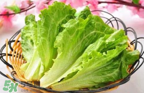 生菜可以放冰箱嗎？生菜可以放冰箱多久？