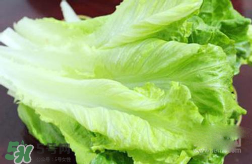 生菜可以放冰箱嗎？生菜可以放冰箱多久？