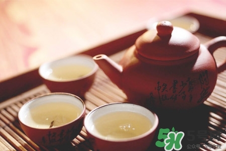 普洱茶煮著喝好不好？普洱茶煮好還是泡好？